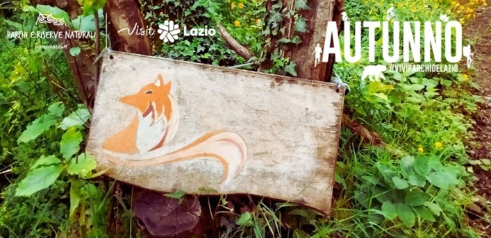 Chi abita nel bosco?