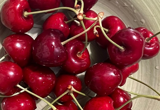 Ciliegia Ravenna della Sabina