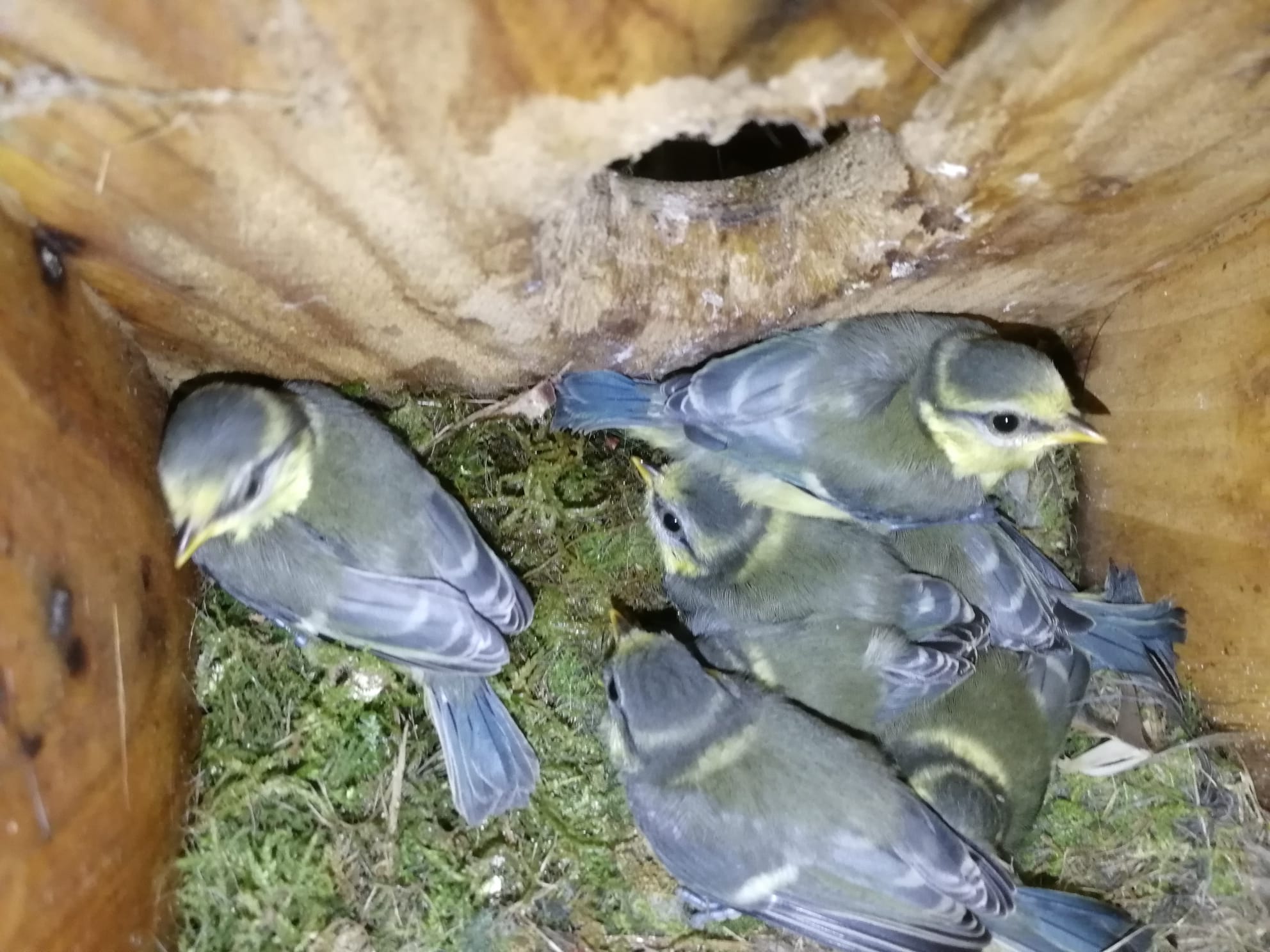 Foto di Riccardo Caldoni