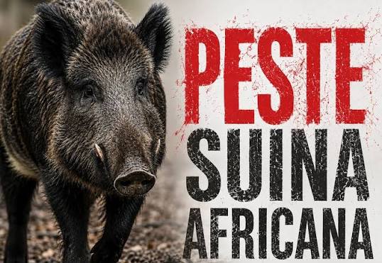 VISITE GUIDATE SOSPESE PER PESTE SUINA AFRICANA