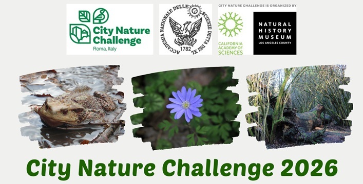 Il Parco dei Castelli Romani protagonista del City Nature Challenge 2026