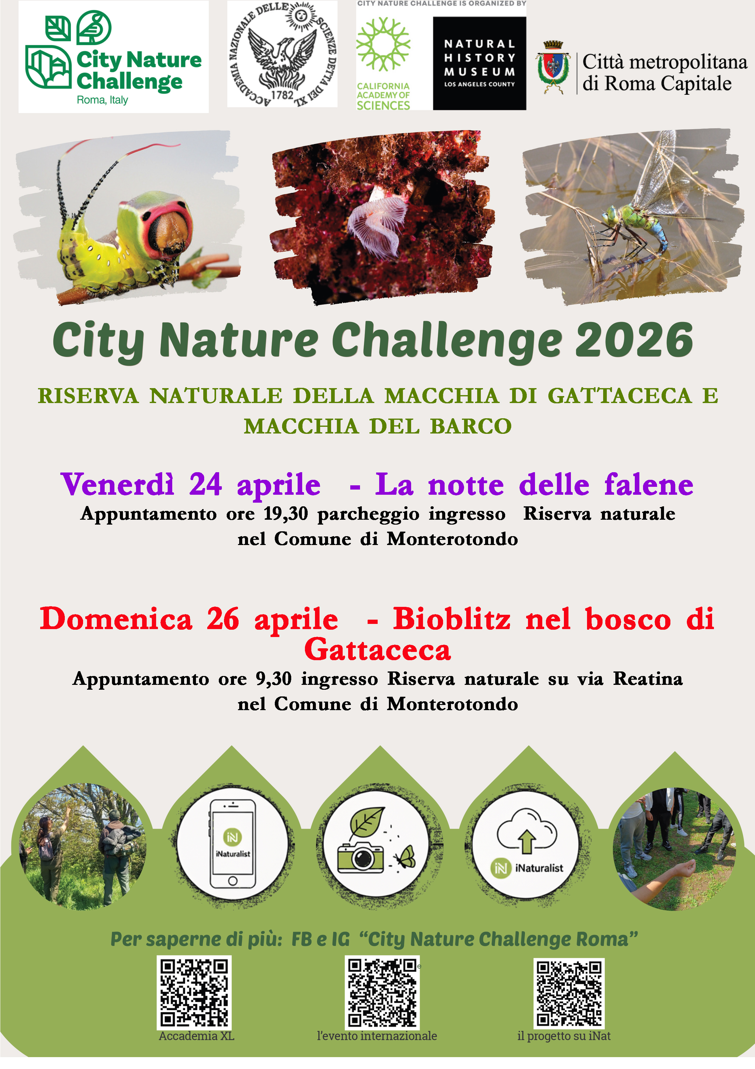 City Nature Challenge 2026