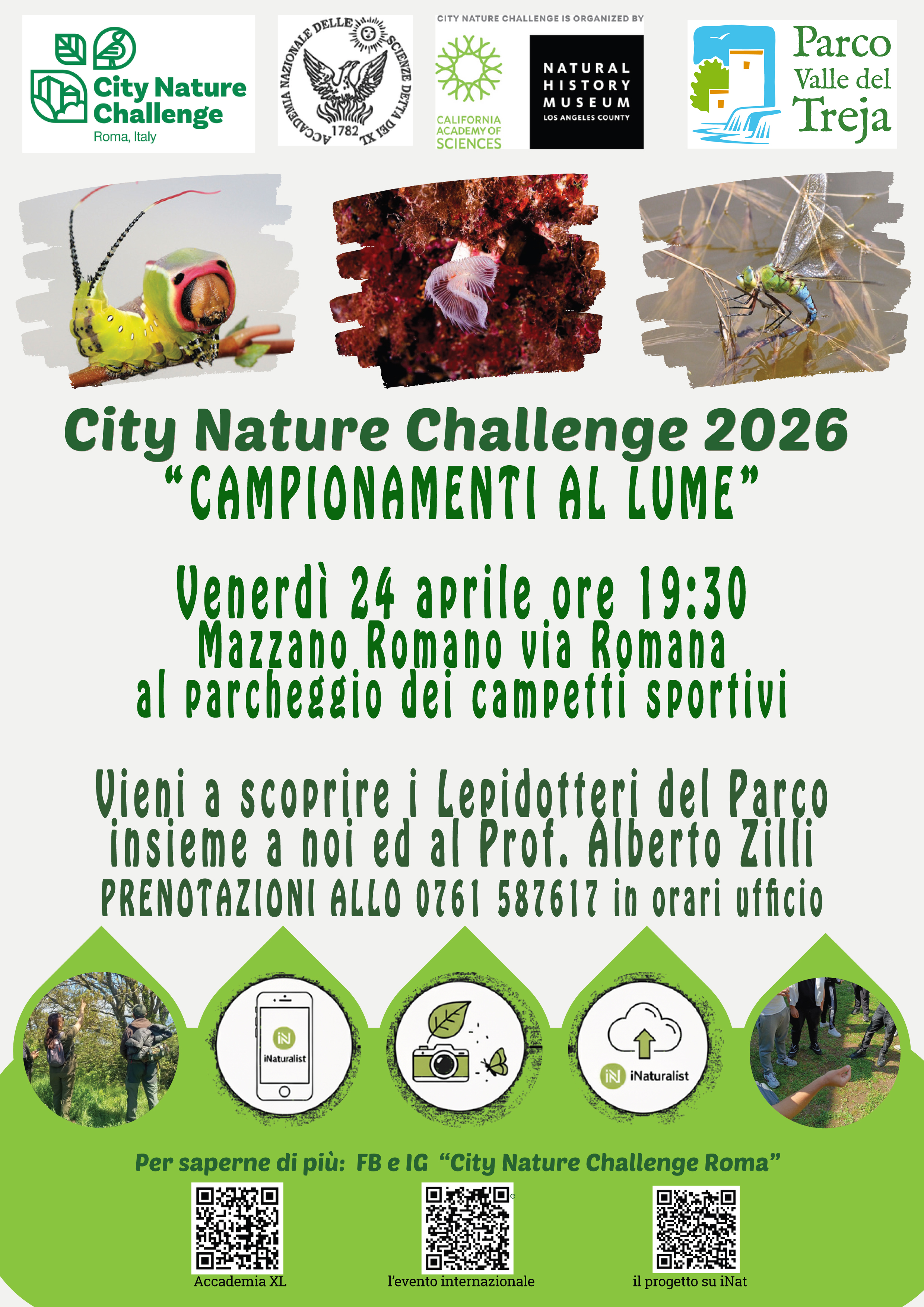 City Nature Challenge 2026