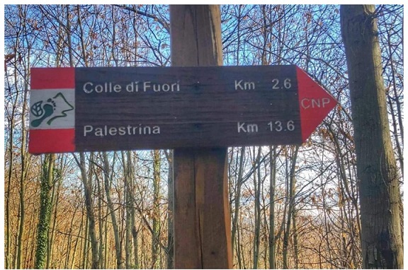 Fotografie di Stefano Mancinelli