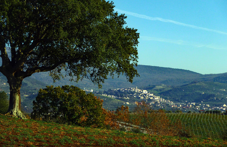 Cori visto dalle colline giulianesi