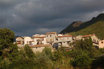 Camerata Nuova