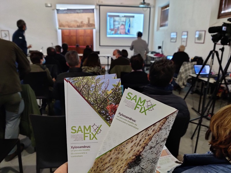 Fotografia di Daniela Russo Fiorillo