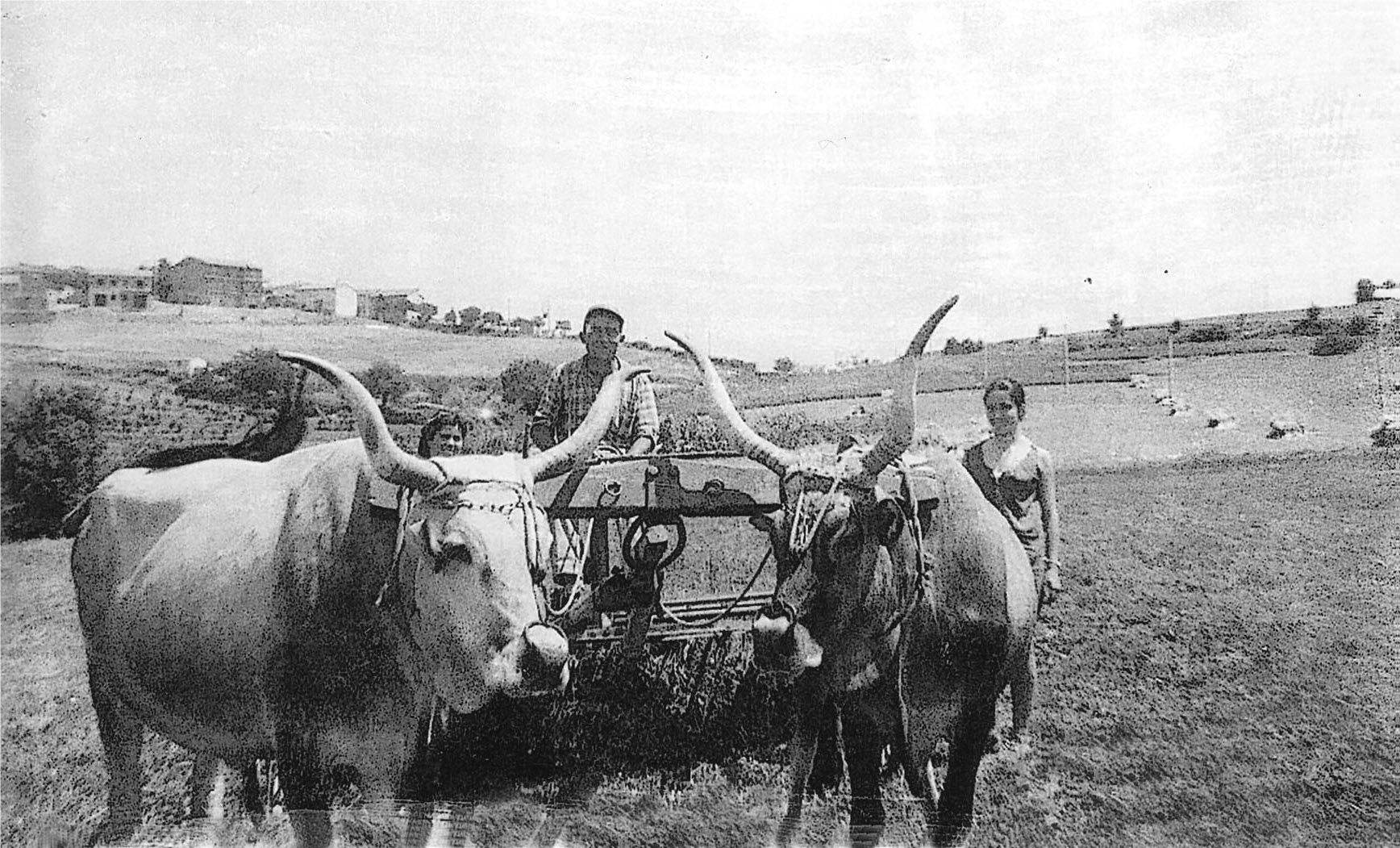 Mario Brizi detto 'l Maschietto al podere Pèrgola con la famiglia, a Trevinano (Acquapendente).