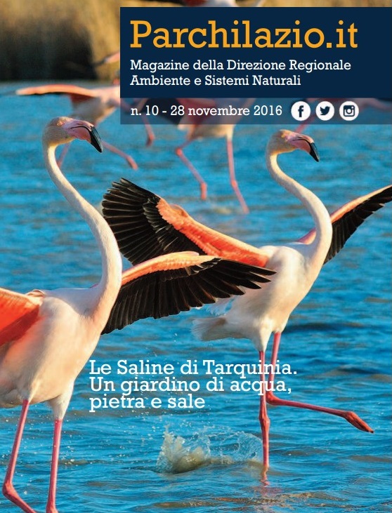 Magazine n. 10 - Parchilazio.it - Le saline di tarquinia. Un giardino di acqua, pietra e sale