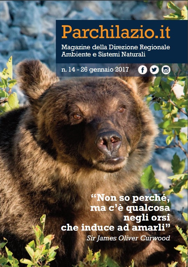 Magazine n. 14 - Parchilazio.it - "Non so perché, ma c'è qualcosa negli orsi che induce ad amarli"