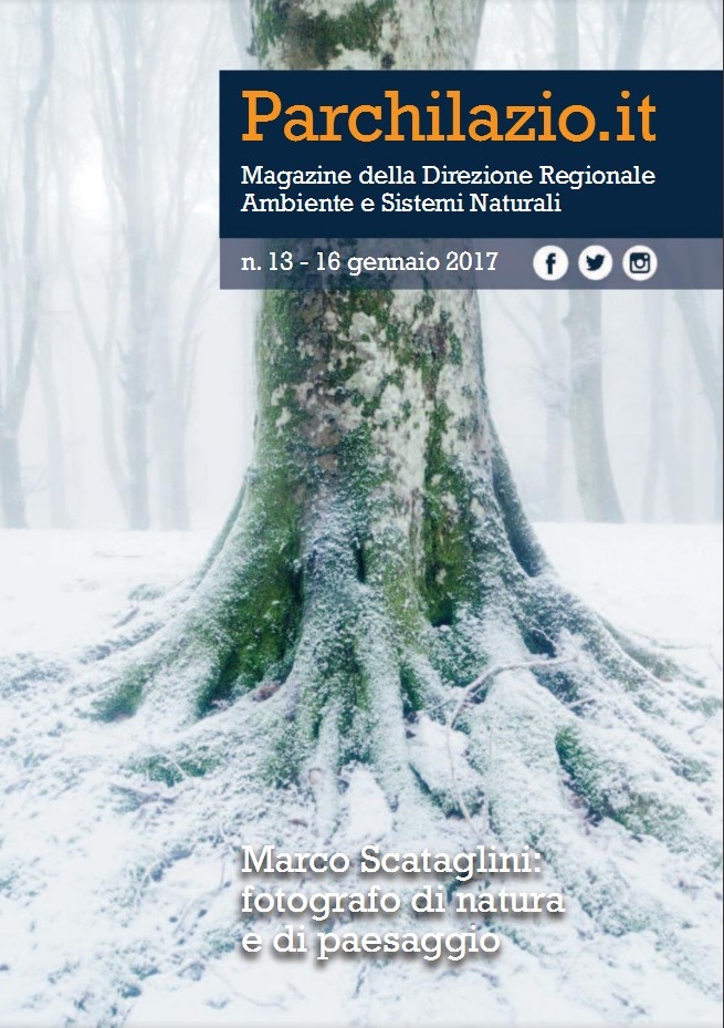 Magazine n. 13 - Parchilazio.it - Marco Scataglini: fotografo di natura e di paesaggio