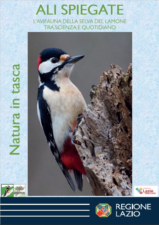 Ali Spiegate Guida Ornitologica Selva del Lamone