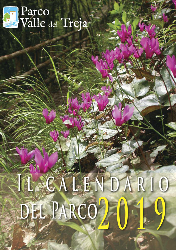 La copertina del calendario