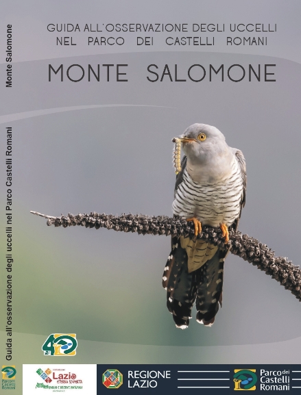 Guida all'osservazione degli uccelli nel Parco dei Castelli Romani - Monte Salomone