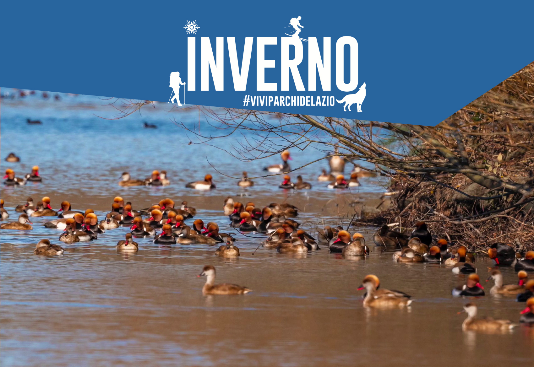 Parco naturale regionale Bracciano-Martignano