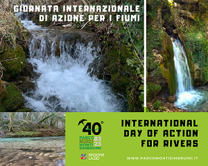 Giornata Internazionale di Azione per i Fiumi
