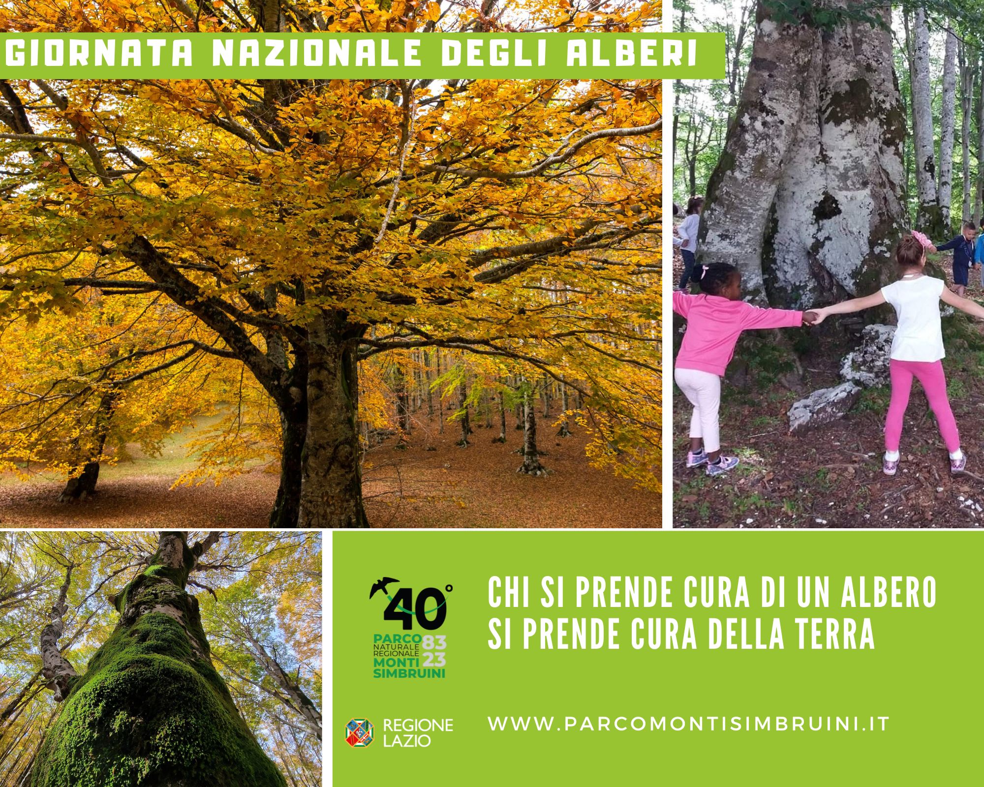 Giornata Nazionale degli Alberi