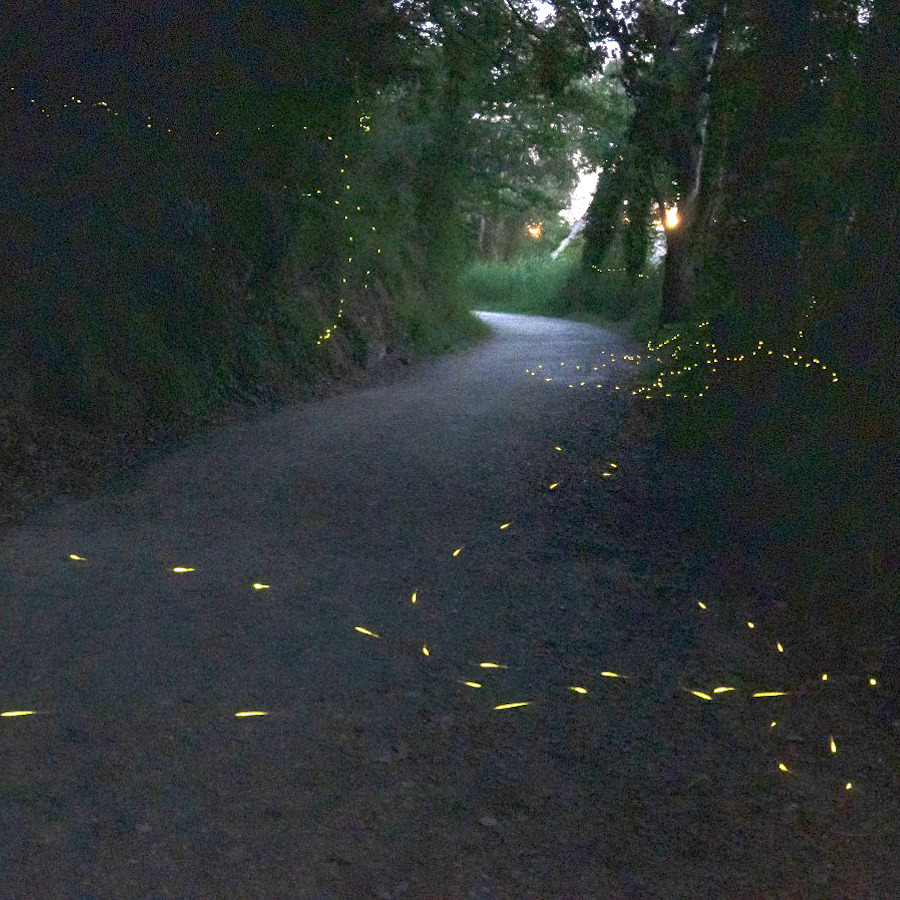 Foto di Pamela Lagalante