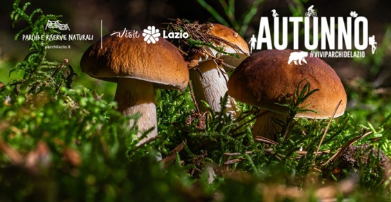 Corso di Formazione Micologica al Parco dei Castelli Romani