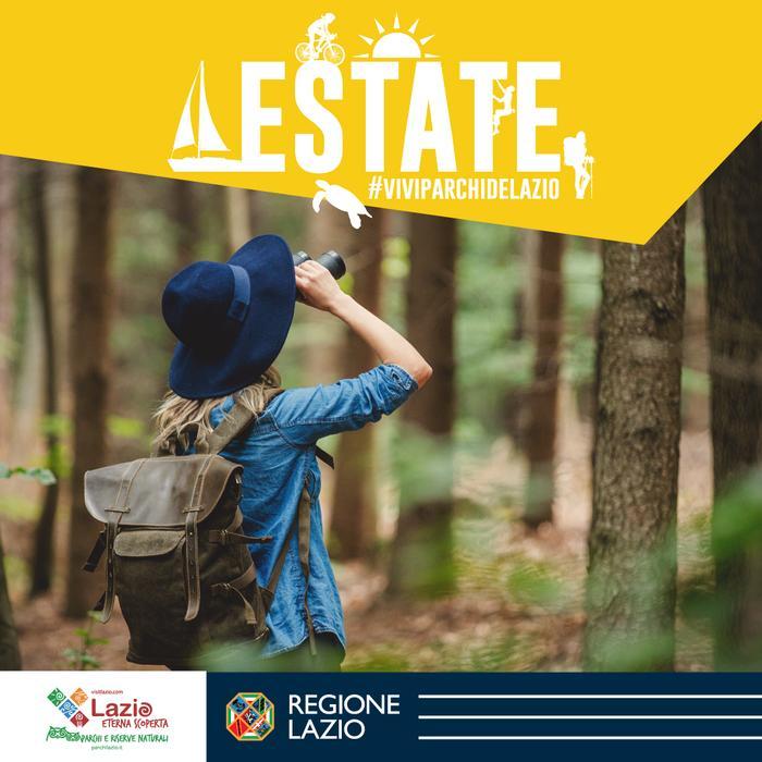 Estate delle meraviglie