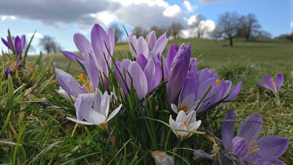 Fotografia di Fabrizio Arpaia