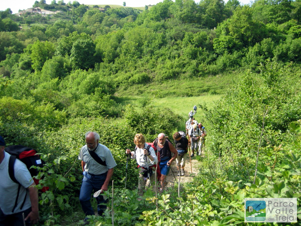 Camminando nel Parco