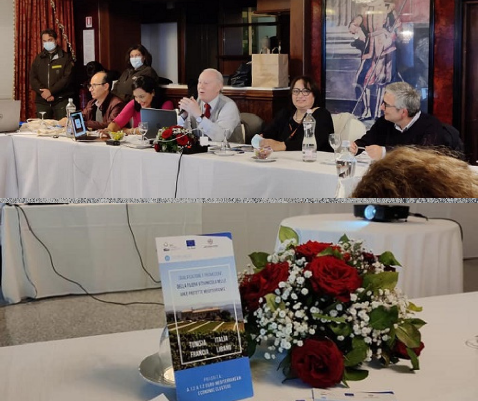 Fotografie di Daniela Russo Fiorillo