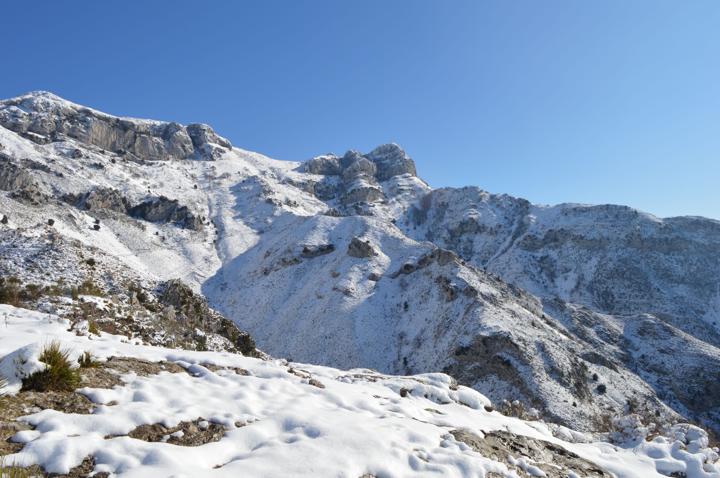 Vista su Monte Altino-Cima del Redentore