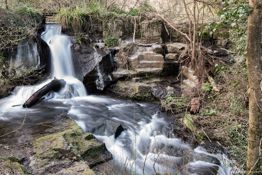 Monte Gelato - foto di Pamela Trisolino