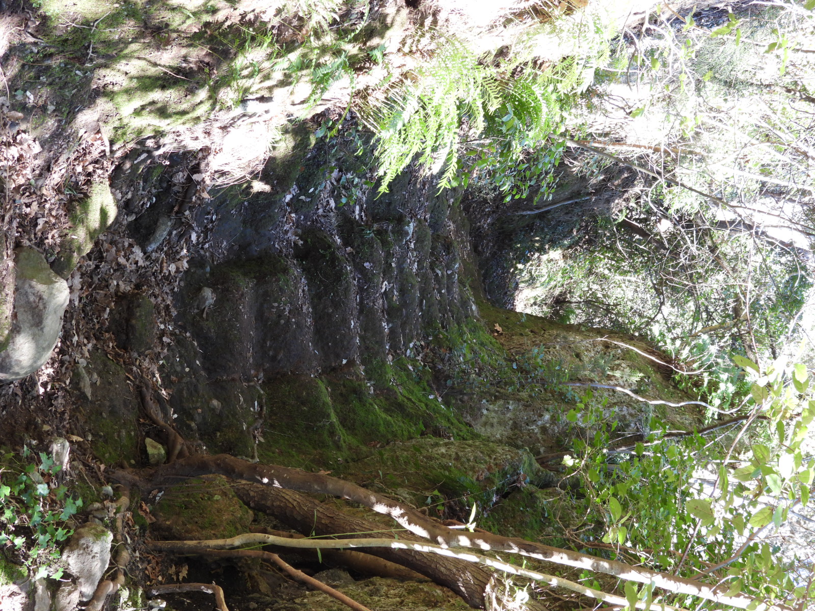 Via cava di Sarignano