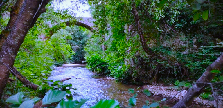 CAI 352B Granica (Allaccio con 352) - Fonte Cannavina (Allaccio con 351)