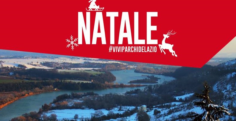 Elfi nel bosco che decorano la casa