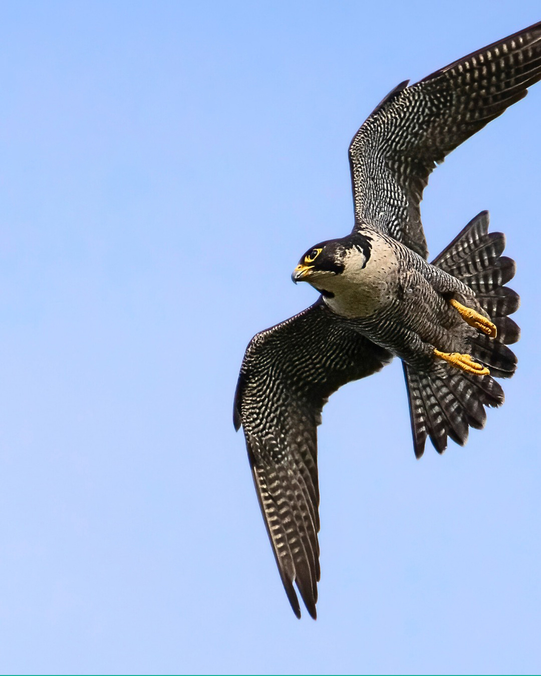 Foto di Francesco Lucarelli @franzlucarelli