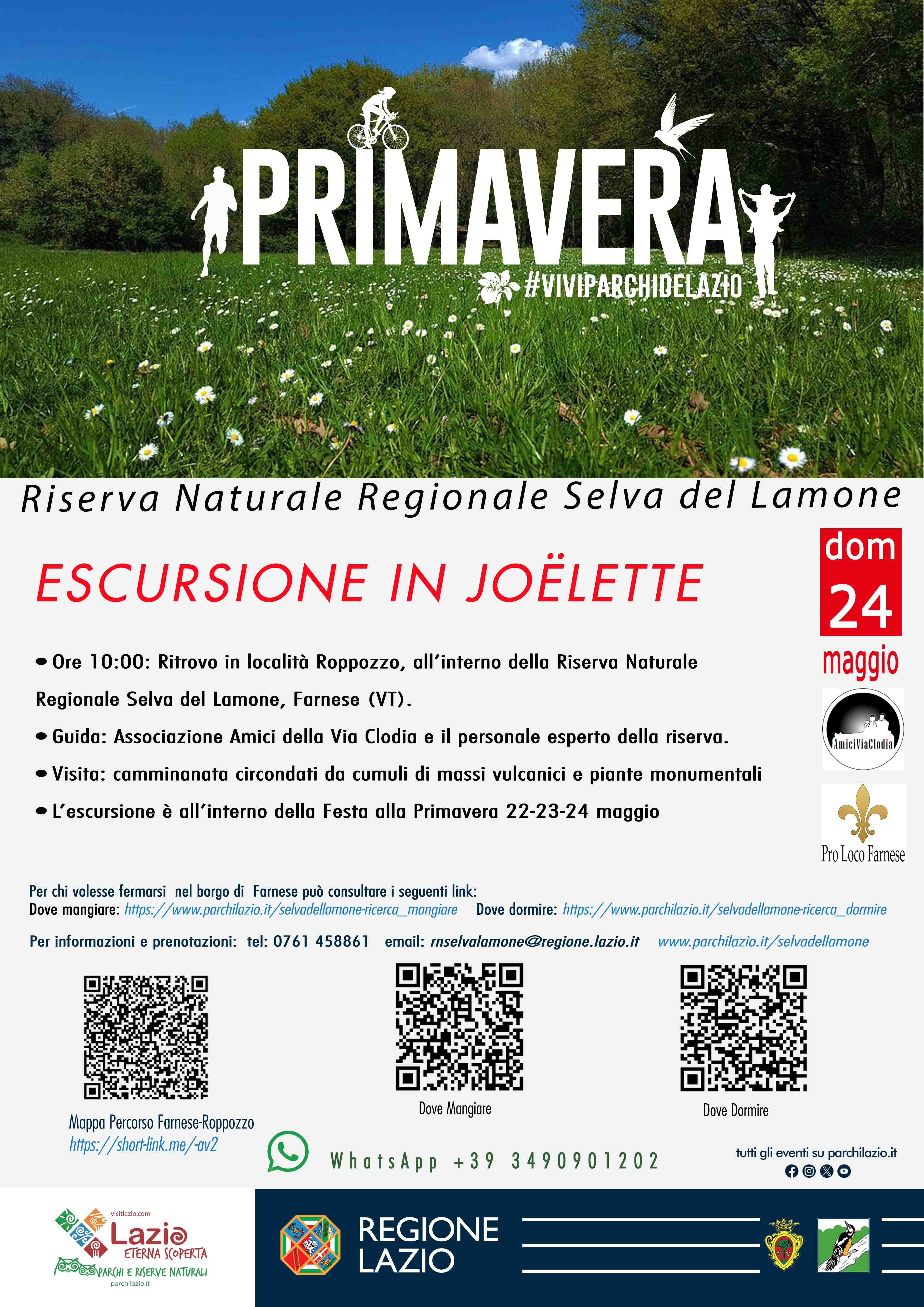Escursione in Joëlette