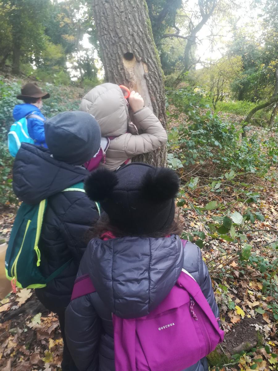 Foto Viaggiare in Natura