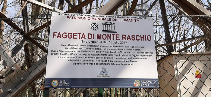 Cammina, Respira e Ascolta: la Forest Therapy per una giornata di benEssere in Natura - TESORI NATURALI 2026