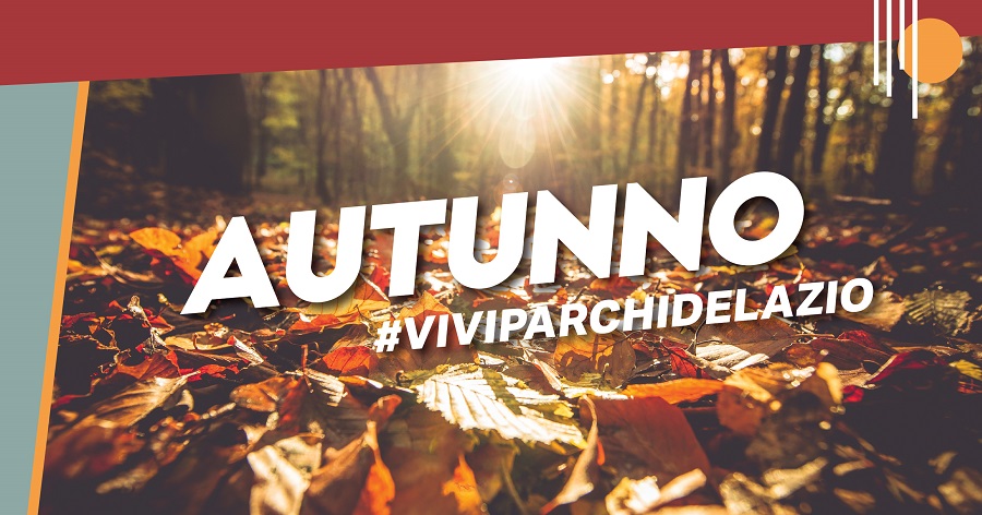 I percorsi di Tommaso