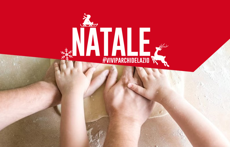 La farina che diventa biscotto. Impastiamo per le feste