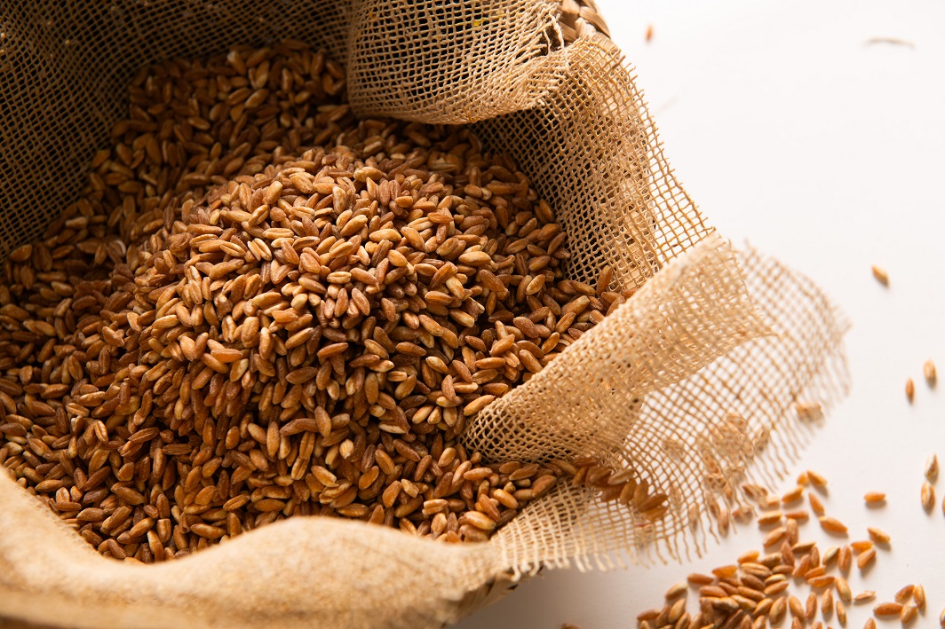 Orzo perlato dell'alto Lazio