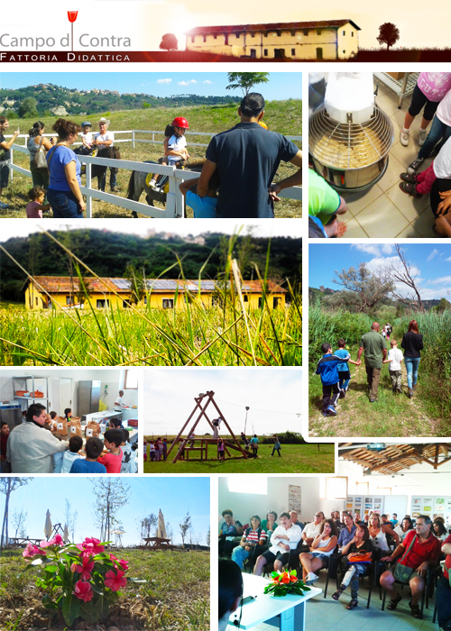 Fattoria Didattica - Campo di Contra