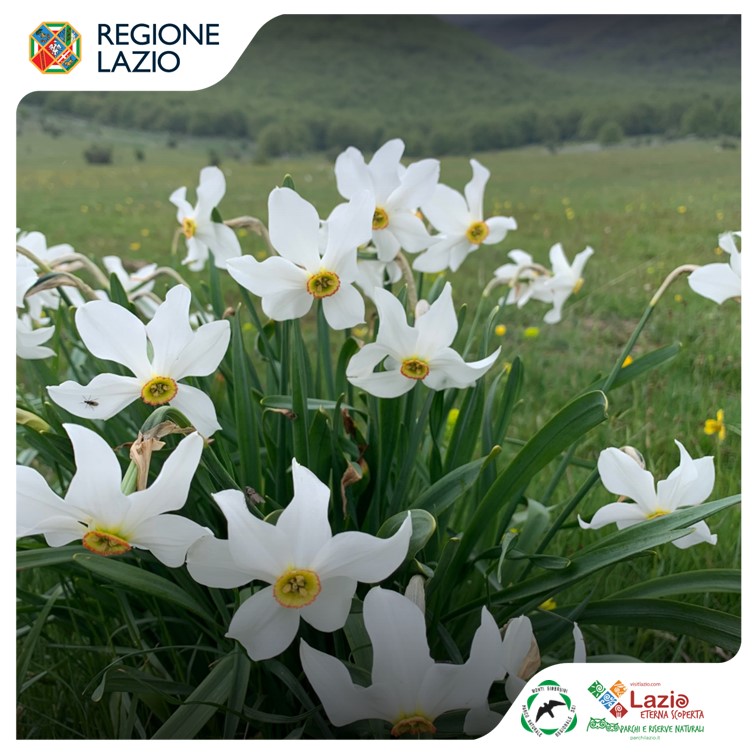 Escursioni e visite guidate sui monti Simbruini