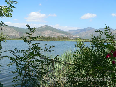 Foresteria Tenuta Sugarelle