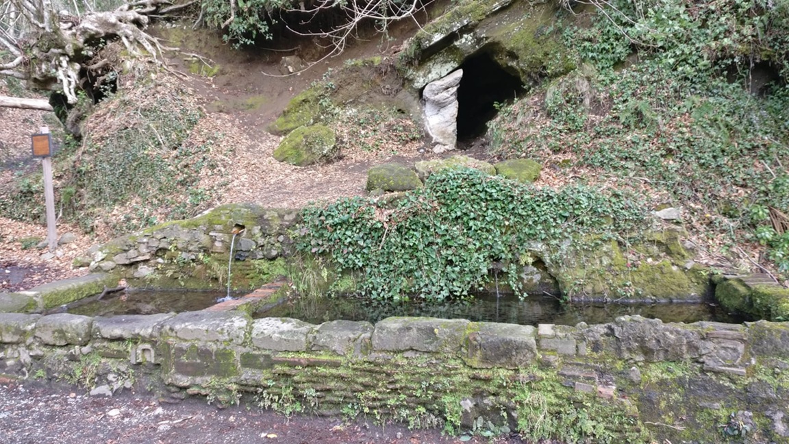 Fontanili e biodiversità