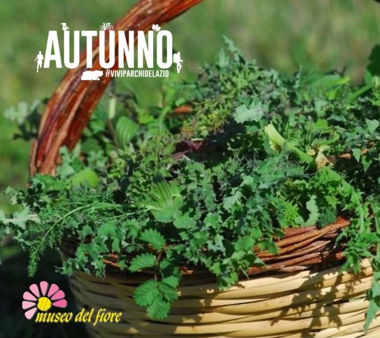 Facciamo foraging