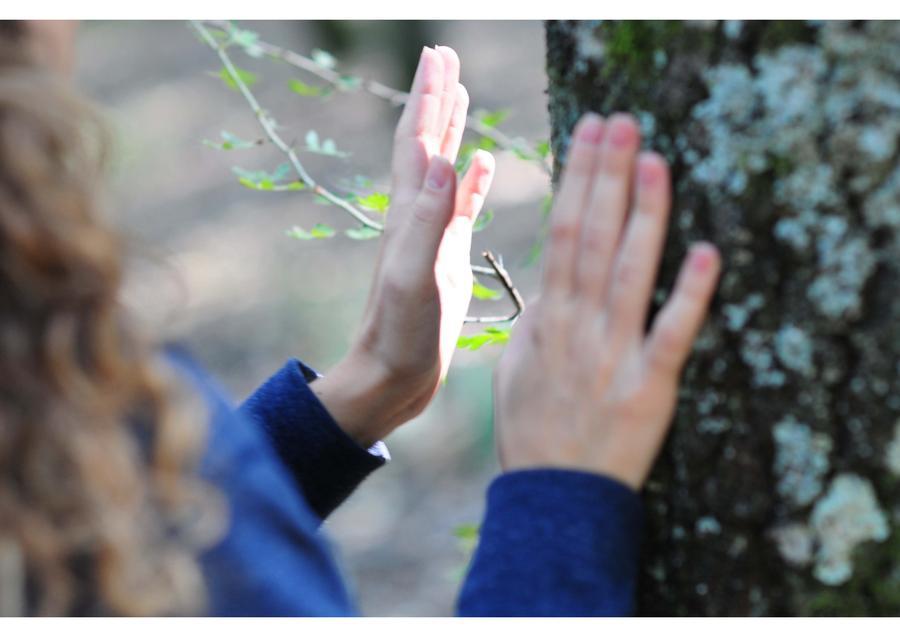 Foto Progetto Radici