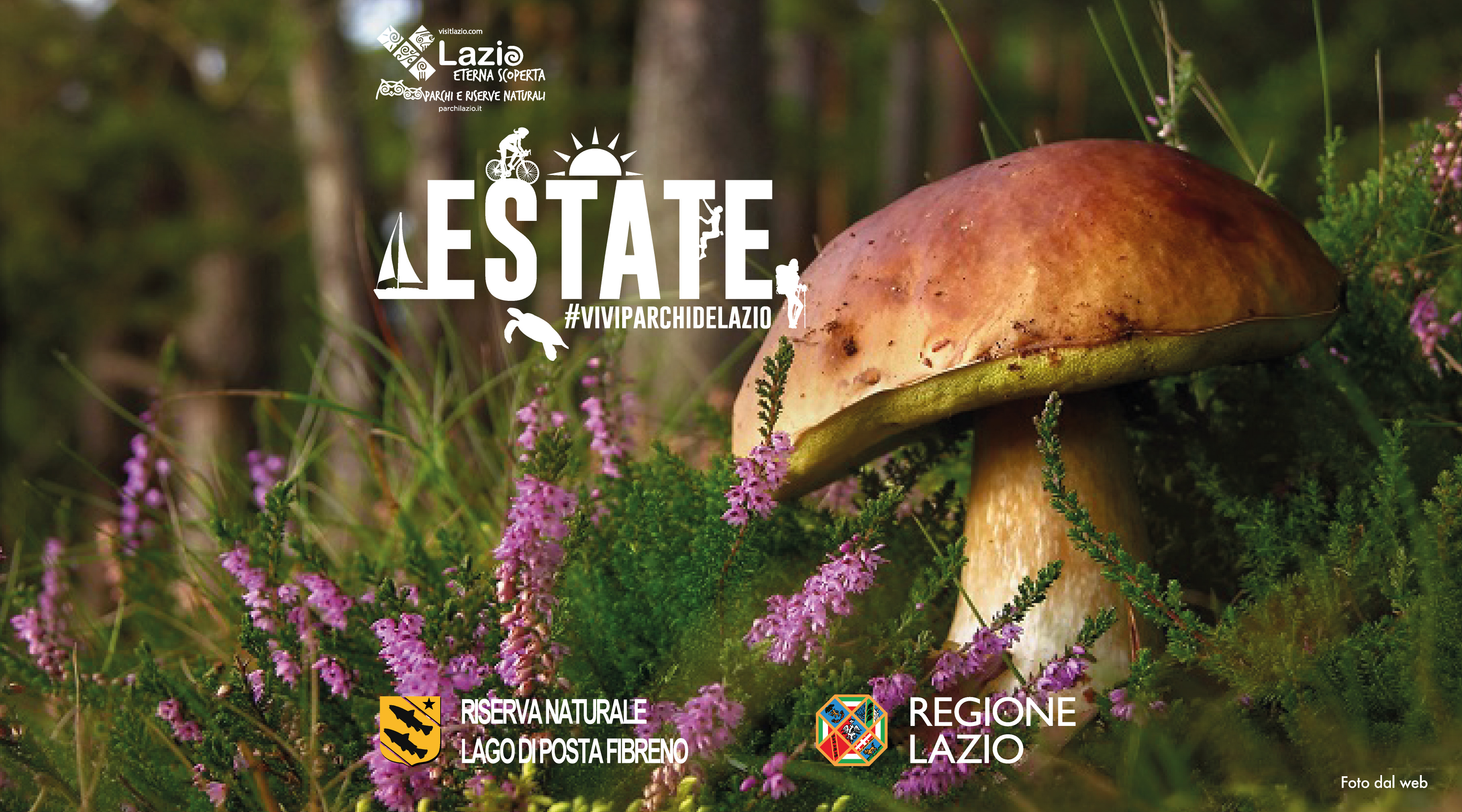 Corso di formazione micologica