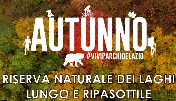 FESTA DELL'ALBERO 2025