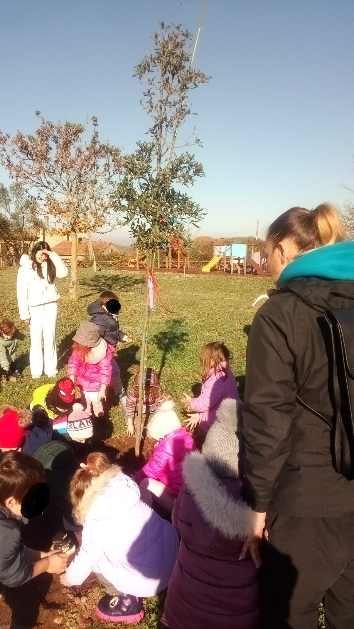 Festa dell'albero a Calcata