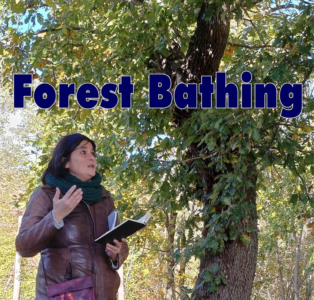FOREST BATHING