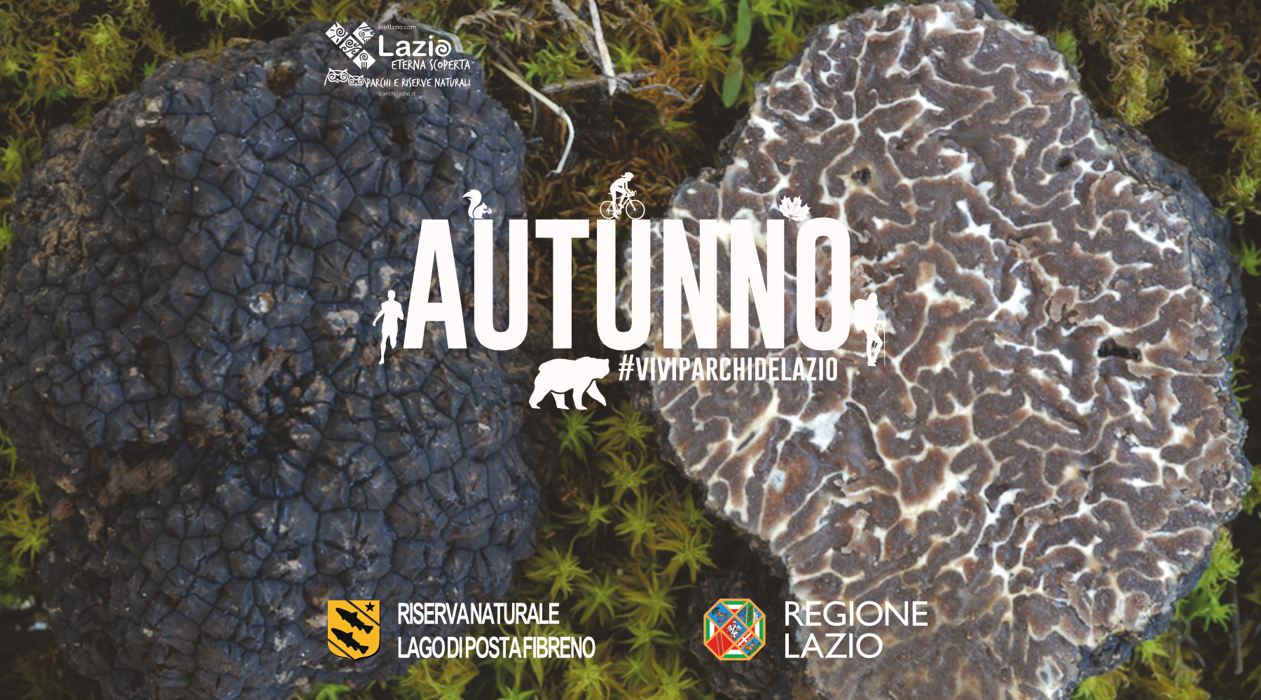 Corso gratuito sulla identificazione e raccolta dei tartufi